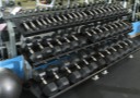 Large Selection of Free Weights